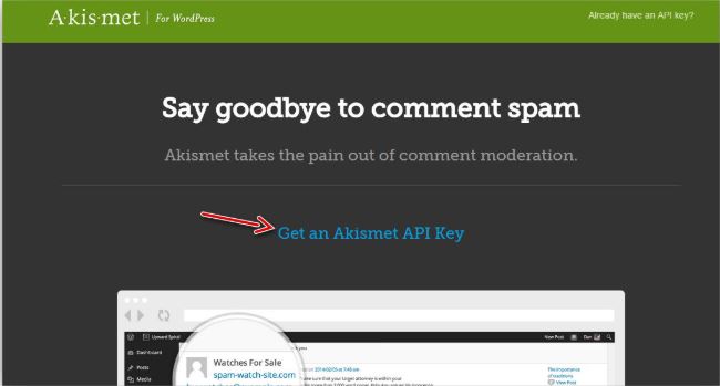Akismet là một trong những plugin WordPress phổ biến nhất hiện nay.