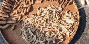 Phương pháp sấy nông sản tự nhiên