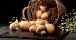 Mô hình làm giàu từ nông nghiệp với nấm tươi