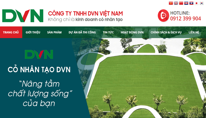 DVN Việt Nam