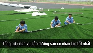 Tổng hợp dịch vụ bảo dưỡng sân cỏ nhân tạo tốt nhất