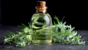 Điều kiện để đạt tiêu chuẩn tinh dầu xuất khẩu