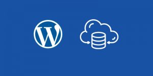 WordPress Hosting là gì? Ưu điểm và hạn chế của WordPress Hosting