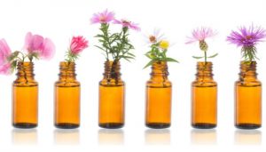 Life Shop - Địa chỉ mua tinh dầu uy tín