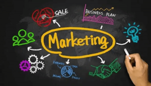Vai trò của marketing
