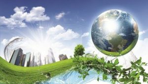 Dịch vụ môi trường của Polygreen khá đa dạng