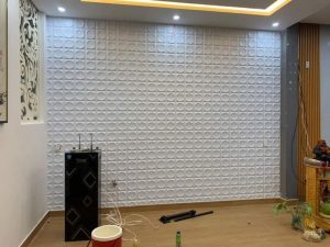 chọn kích thước phù hợp