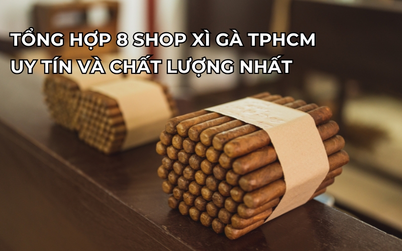 Tổng Hợp 8 Shop Xì Gà TPHCM Uy Tín Và Chất Lượng Nhất