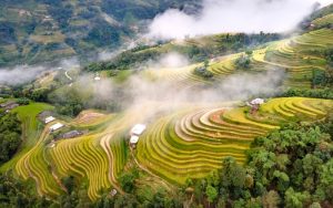 Hoàng Su Phì