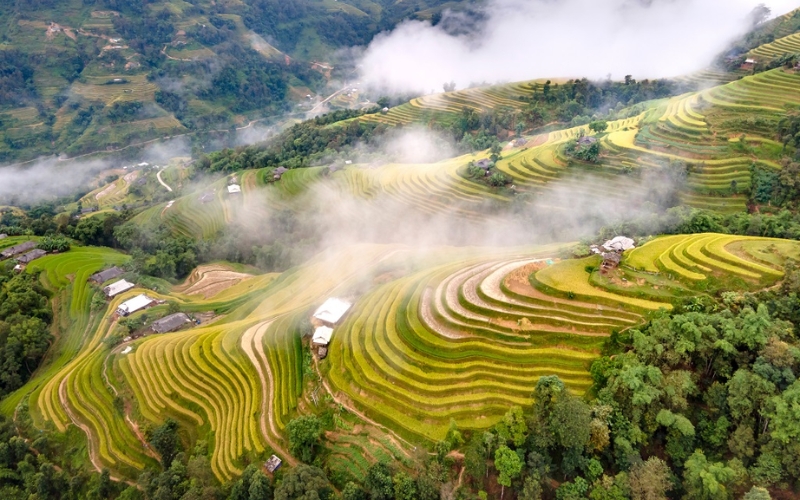Hoàng Su Phì