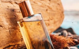 đặc trưng nước hoa mùi gỗ