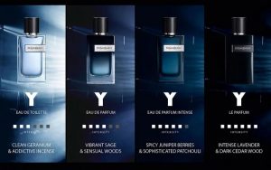 Yves Saint Laurent Y EDP