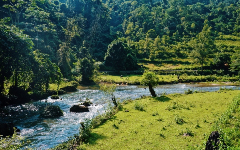 Thác Nặm Trá