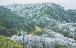 Vườn Quốc gia Phja Oắc - Phja Đén