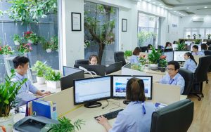 Anpha cung cấp dịch vụ thành lập doanh nghiệp kết hợp kế toán - thuế